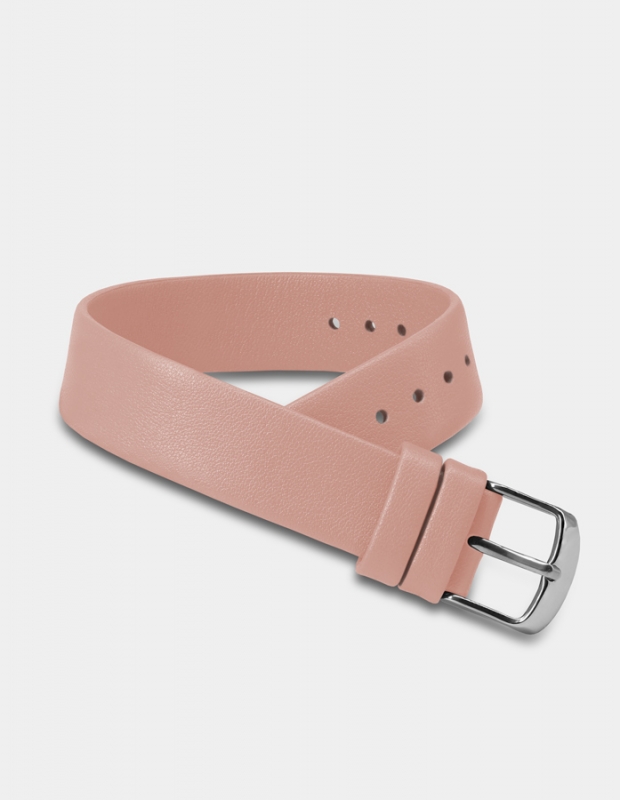Pink leather (band)